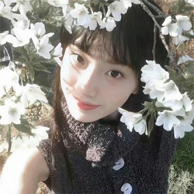 她和她的猫海报