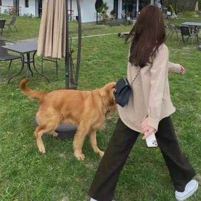 我的街区第二季海报